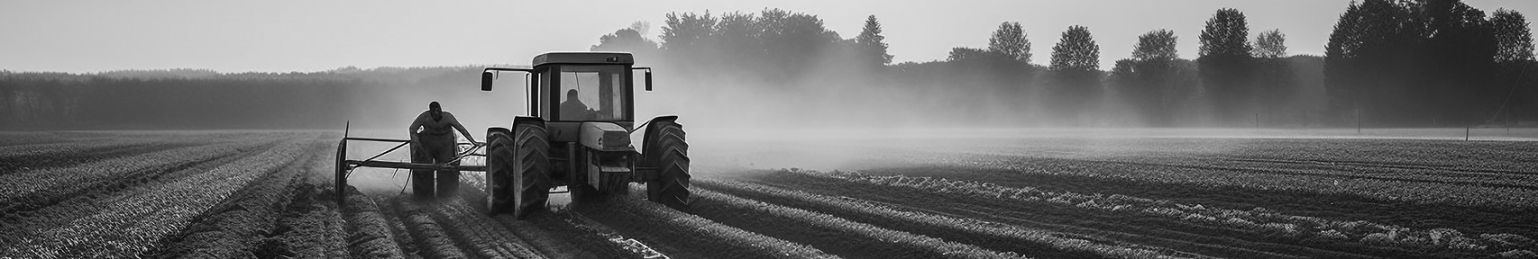 Agro e Bioeconomia